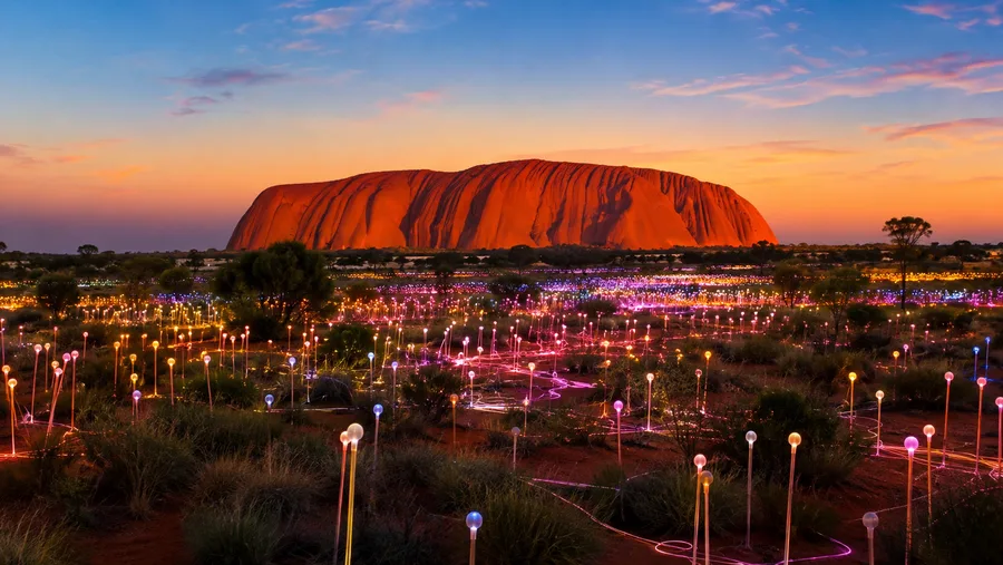 Field of Light Uluru: Tickets, Tours, and Dinner Experience